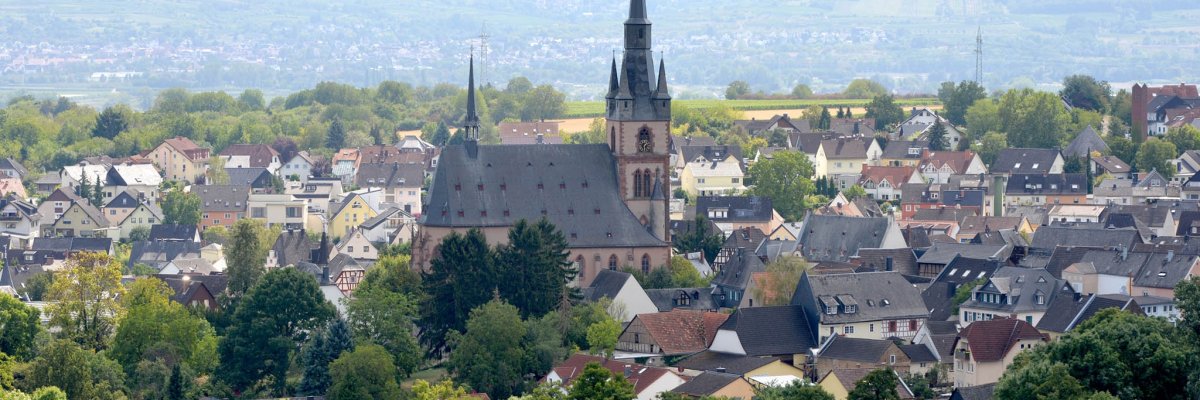 Blick auf Kiedrich mit Bäumen, Häusern und der Kirche St. Valentinus und Dionysius - Basilica minor.