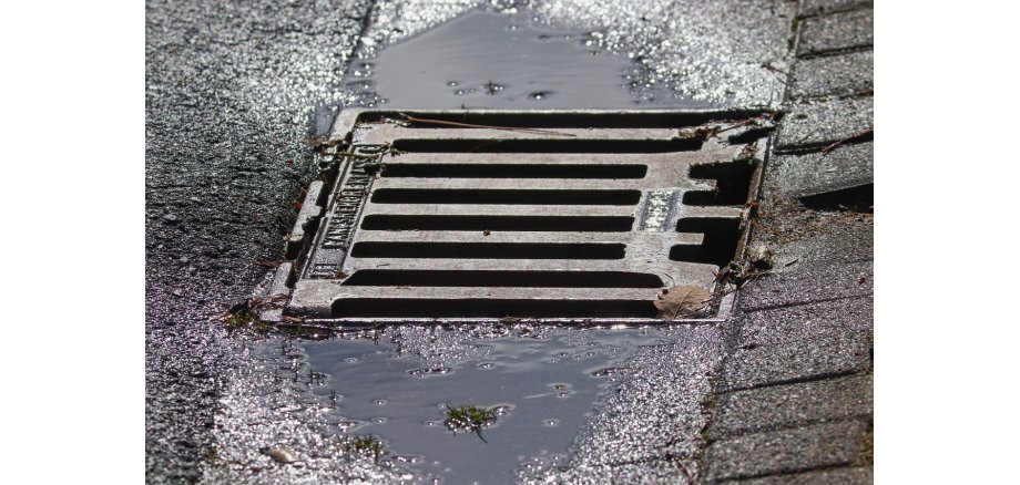 Ein Sinkkasten am Straßenrand mit Regenpfützen und Blättern.