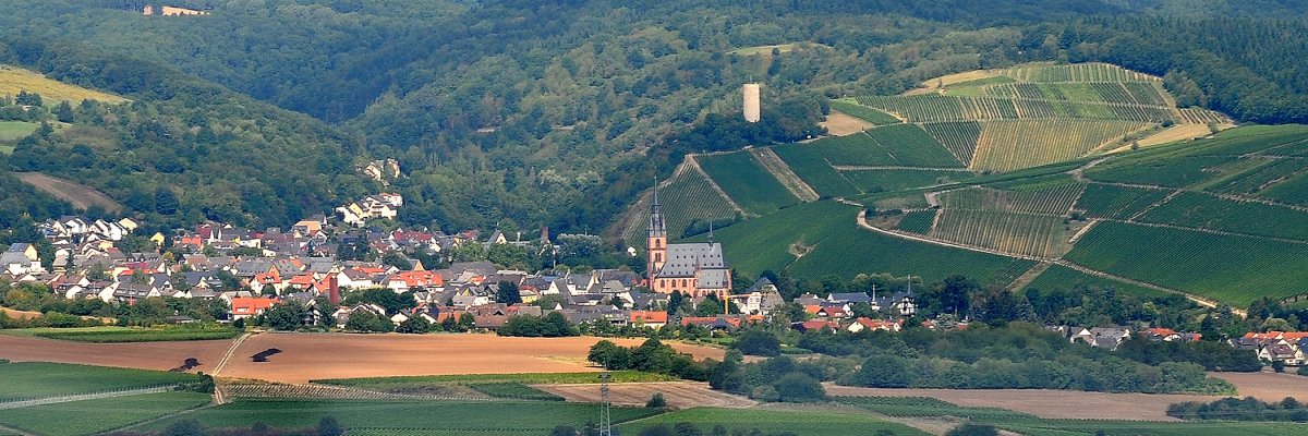 Blick auf Kiedrich mit den Weinbergen, Wiesen, Wäldern, Häusern, der Burgruinse Scharfenstein und der Kirche St. Valentinus und Dionysius.