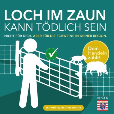 Plakat zur Afrikanischen Schweinepest